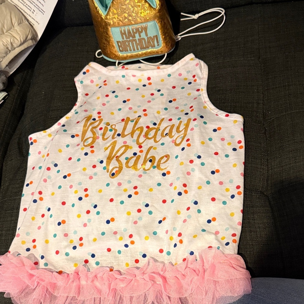 Birthday Babe Dog Tank Top with Pink Ruffle and Happy Birthday Crown